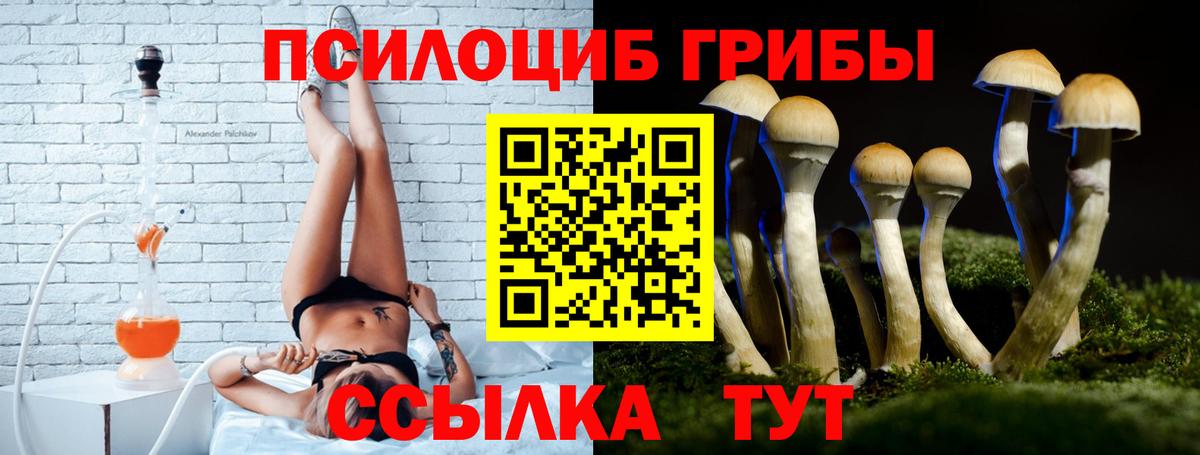 Псилоцибиновые грибы мухоморы Абинск
